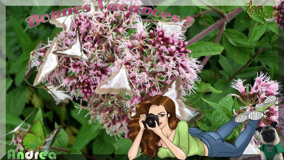 BOQhzkH0VYoi